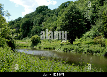 Creswell Crags Kalkstein Schlucht auf Derbyshire / Nottinghamshire Grenze Stockfoto