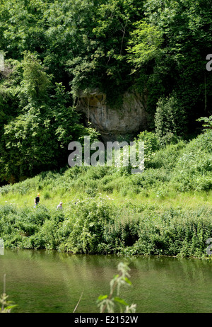 Creswell Crags Kalkstein Schlucht auf Derbyshire / Nottinghamshire Grenze Stockfoto