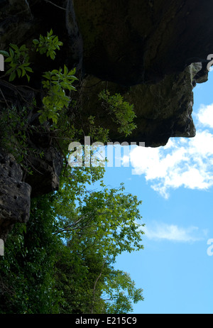 Creswell Crags Kalkstein Schlucht auf Derbyshire / Nottinghamshire Grenze Stockfoto