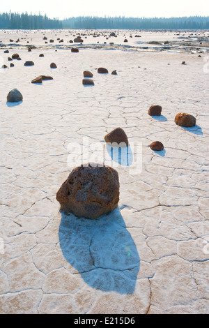 Felsen auf den Salz Ebenen der Kernbeißer See, Nord-Alberta Stockfoto