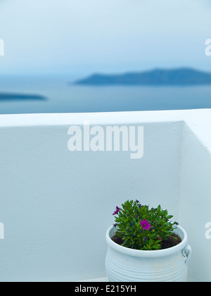 Meerblick vom Balkon und Blumentopf mit Pflanze, Insel Santorini, Griechenland Stockfoto