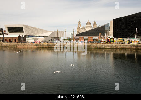 Liverpool, Vereinigtes Königreich, 12. Mai 2014. Künstler Carlos Cruz-Diez Besuche einen frisch lackierten Blenden Schiff in Liverpool. In Zusammenarbeit mit der Liverpool Biennale entwarf er das Farbschema für das Schiff Edmund Gardner das nationale Museen Liverpool gehört. Das Schiff ist Teil der Liverpool Biennale in 2014. Bildnachweis: Peter Carr/Alamy Live-Nachrichten Stockfoto