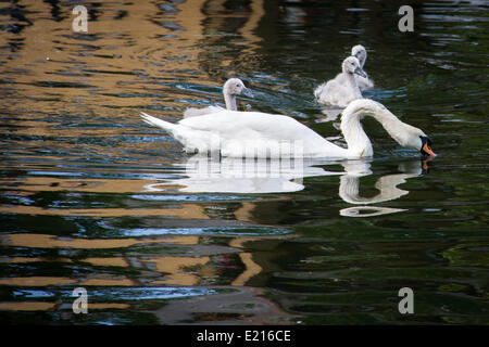 London, UK. 12. Juni 2014. Londoner weiterhin fühlen die Hitze in June Credit: Guy Corbishley/Alamy Live News Stockfoto