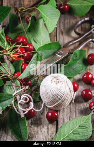 Reihe von Kirschbaum mit Vintage Scheren und weißem Faden auf alten Holztisch Stockfoto