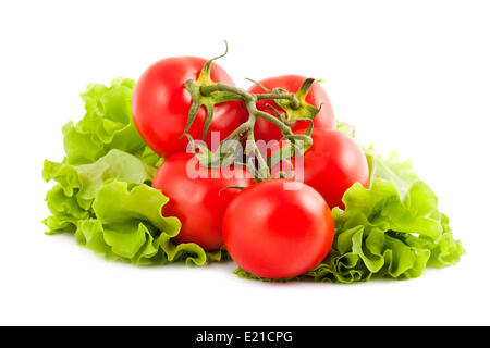 Zweig der Tomaten Stockfoto
