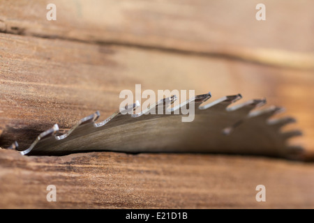 Nahaufnahme für Kreissäge in Schreinerei Stockfoto