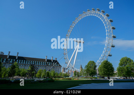 Das London Eye, gesehen vom Jubilee Gardens, London, England, Vereinigtes Königreich. Stockfoto