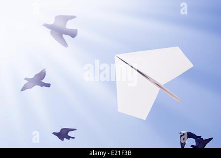 Papierflieger fliegen mit Vögel Stockfoto
