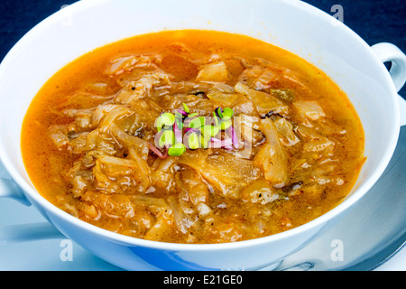 Russische Suppe Soljanka Stockfoto