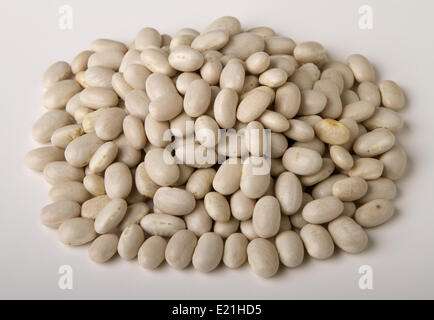 getrocknete weiße Bohnen Stockfoto