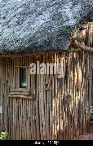 Alten Holzhütte mit Strohdach Stockfoto