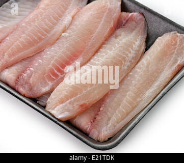 Tilapia Filet Stockfoto