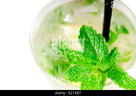 Mojito Caipirina cocktail mit frischer Minze Stockfoto