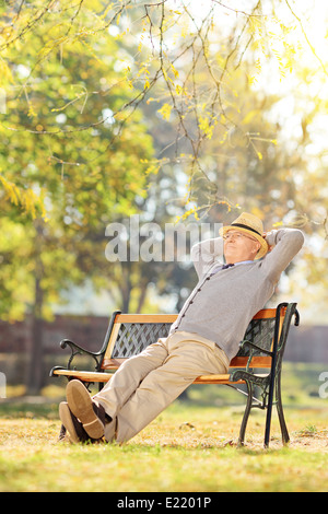 Älterer Herr sitzt auf einer Bank im Park an einem sonnigen Tag Stockfoto