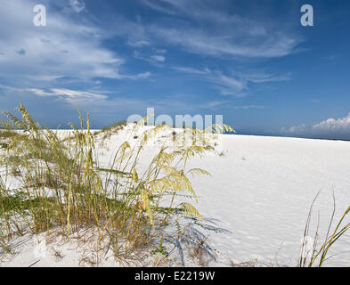 Panoramablick auf weißen Sanddünen Stockfoto