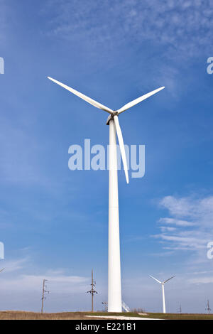 Feld mit Windenergieanlagen Stockfoto