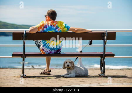 Aberystwyth Wales UK Freitag, 13. Juni 2014 Aberystwyth Wales UK mit Temperaturen, die voraussichtlich bis Mitte 20 Celsius klettern einen kleinen Hund sucht Befreiung von dem heißen Wetter im Schatten unter seinem Besitzer bei Aberystwyth an der Westküste von Wales. Bildnachweis: Keith Morris/Alamy Live-Nachrichten Stockfoto