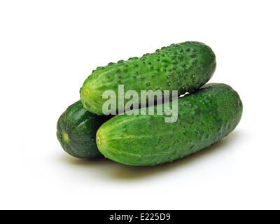 ein paar Gurken (Cucumis Sativus) Stockfoto