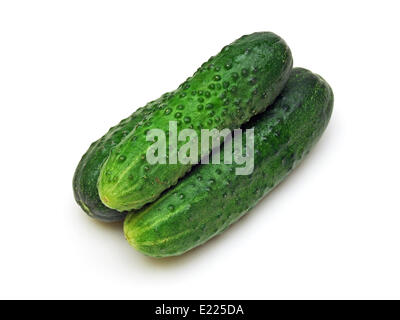 ein paar Gurken (Cucumis Sativus) Stockfoto