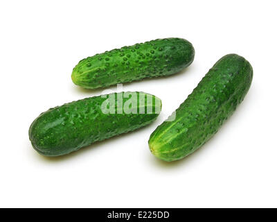 ein paar Gurken (Cucumis Sativus) Stockfoto