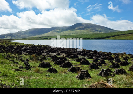 Schneiden Sie Torf Torf trocknen im irischen Bereich für Kraftstoff Slieve League County Donegal Ireland Stockfoto