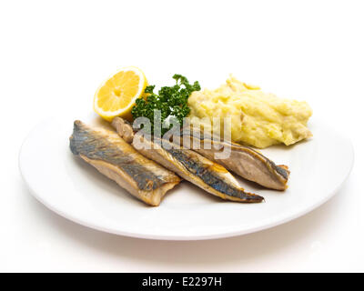 Gebratene Makrele auf weißen Teller Stockfoto