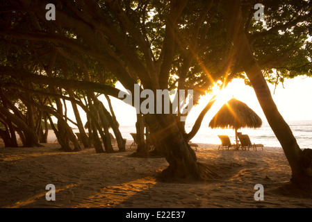 Sunburst durch Bäume mit Liegestühle und Sonnenschirme am Strand. Punta Mita, Mexiko Stockfoto