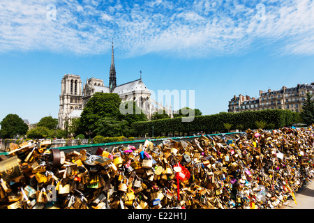 Liebesschlösser entlang Pont de l'Archevêché unterhalb der Kathedrale Notre Dame, Paris Frankreich entlang Ufer Stockfoto