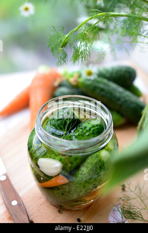 Frische Gurken im Glas, nur mit Salzwasser gefüllt. Stockfoto