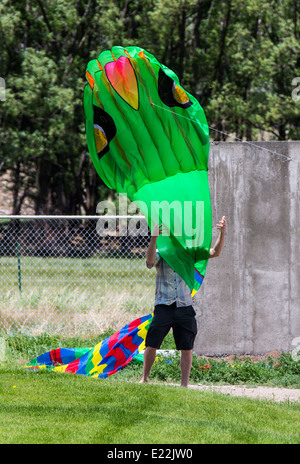 Man startet eine Schlange geformt-Kit aus einem grasbewachsenen Park-Feld Stockfoto