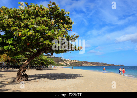 Ansicht Süd Grand Anse Strand in Richtung Quarantäne Point, St. George, Grenada, West Indies Stockfoto