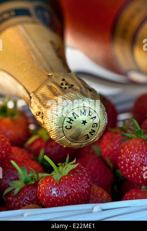Champagnerflaschen in Weinkühlschrank mit weißen Korbpunetzen frischer Erdbeeren für Luxus-Veranstaltung im Freien Stockfoto