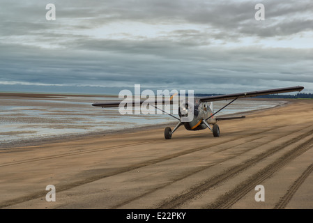 Ein Bush-Flugzeug landet am Strand im Lake Clark National Park Stockfoto