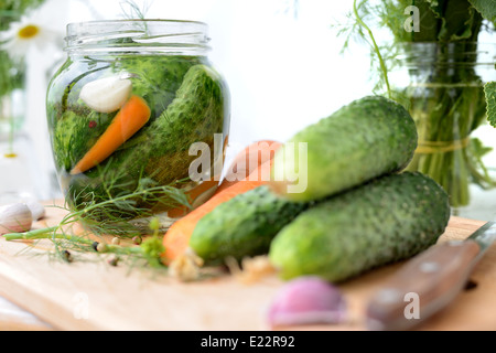 Frische Gurken im Glas, nur mit Salzwasser gefüllt. Stockfoto