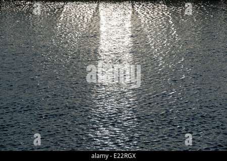 Sonne reflektiert Gewächshaus auf den See bei RHS Wisley Gardens. Surrey, England Stockfoto