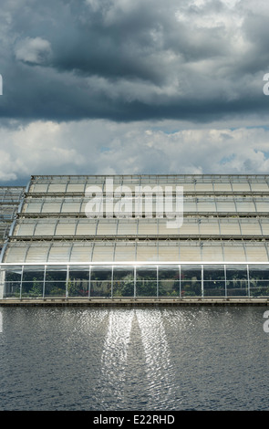 Sonne reflektiert Gewächshaus auf den See bei RHS Wisley Gardens. Surrey, England Stockfoto