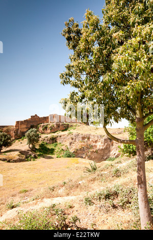 Blick auf eine ursprüngliche Kasbah im Ziz Tal in der Nähe von Er-Rachidia, Marokko, Nordafrika. Stockfoto