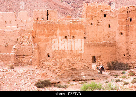 Blick auf eine ursprüngliche Kasbah im Ziz Tal in der Nähe von Er-Rachidia, Marokko, Nordafrika. Stockfoto