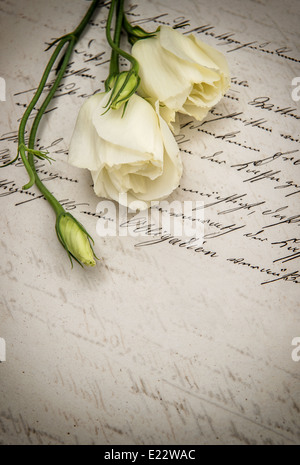 alte handschriftliche lieben Brief und weißen Blumen. Retro-Stil getönten Bild Stockfoto