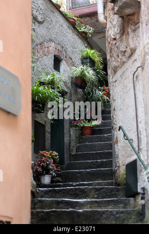 Die engen Gassen und Treppen in das kleine Dorf Riomaggiore, Cinque Terre, Ligurien, Italien Stockfoto