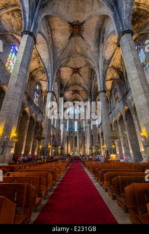 Innere der Santa Maria del Mar Kirche, Born Viertel, Barcelona, Katalonien, Spanien Stockfoto