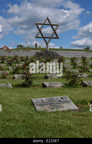 Davidstern machte von der Schiene Schienen über die National Cemetery in Terezin, Tschechische Republik. Stockfoto