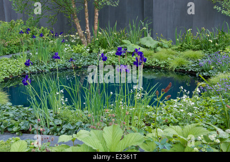 Die Grube Krater Teich und Pflanzen in "Niemandsland: ABF The Soldiers' Charity Garten" anlässlich der Hundertjahrfeier von Weltkrieg einer Stockfoto