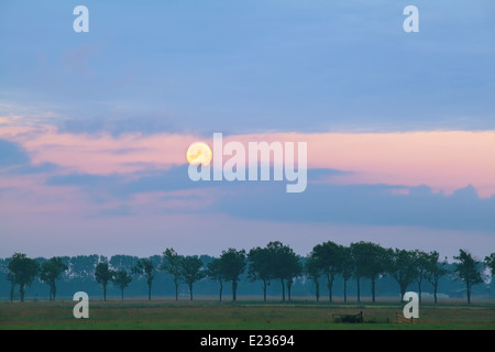voll Honig Mond über Wiesen bei Sonnenaufgang Stockfoto