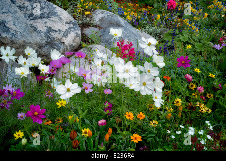 Gemischten Blumen im Garten in Vail Village. Vail, Colorado Stockfoto