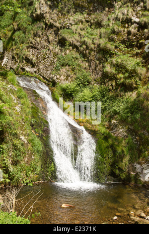 Wasserfälle von Allerheiligen, Schwarzwald, Deutschland Stockfoto