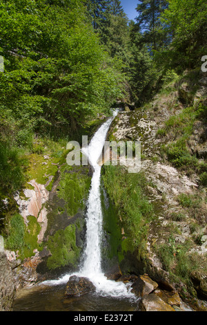 Wasserfälle von Allerheiligen, Schwarzwald, Deutschland Stockfoto