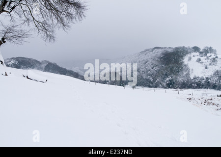 Blick über ein Feld in Richtung Lagerplatz Combe, bedeckt in Schnee, in den Quantock Hills, Stockfoto