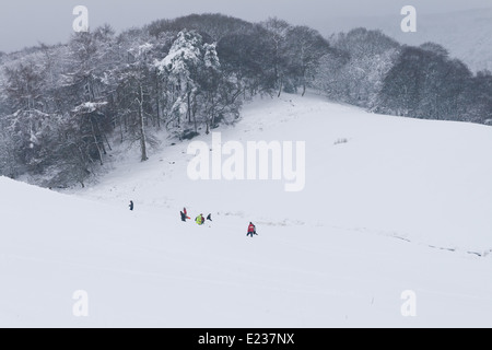 Genießen täglich Schnee, Rodeln in den Quantock Hills. Stockfoto