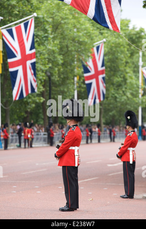 Gardisten, die ständige Aufmerksamkeit entlang der Mall für die Trooping die Farbe der Queens-Geburtstag in London Stockfoto